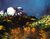 Jackson Hensley Gallery: Image